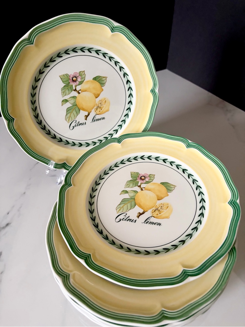 SET of 6 French Garden Valence Lemon Salad Plates by Villeroy & Boch